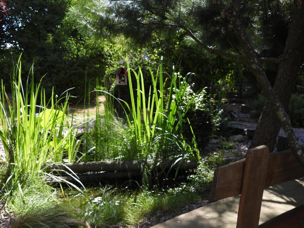 La Suite Melusine - Spa Du Souffle Du Saule Buhl-Lorraine Bagian luar foto